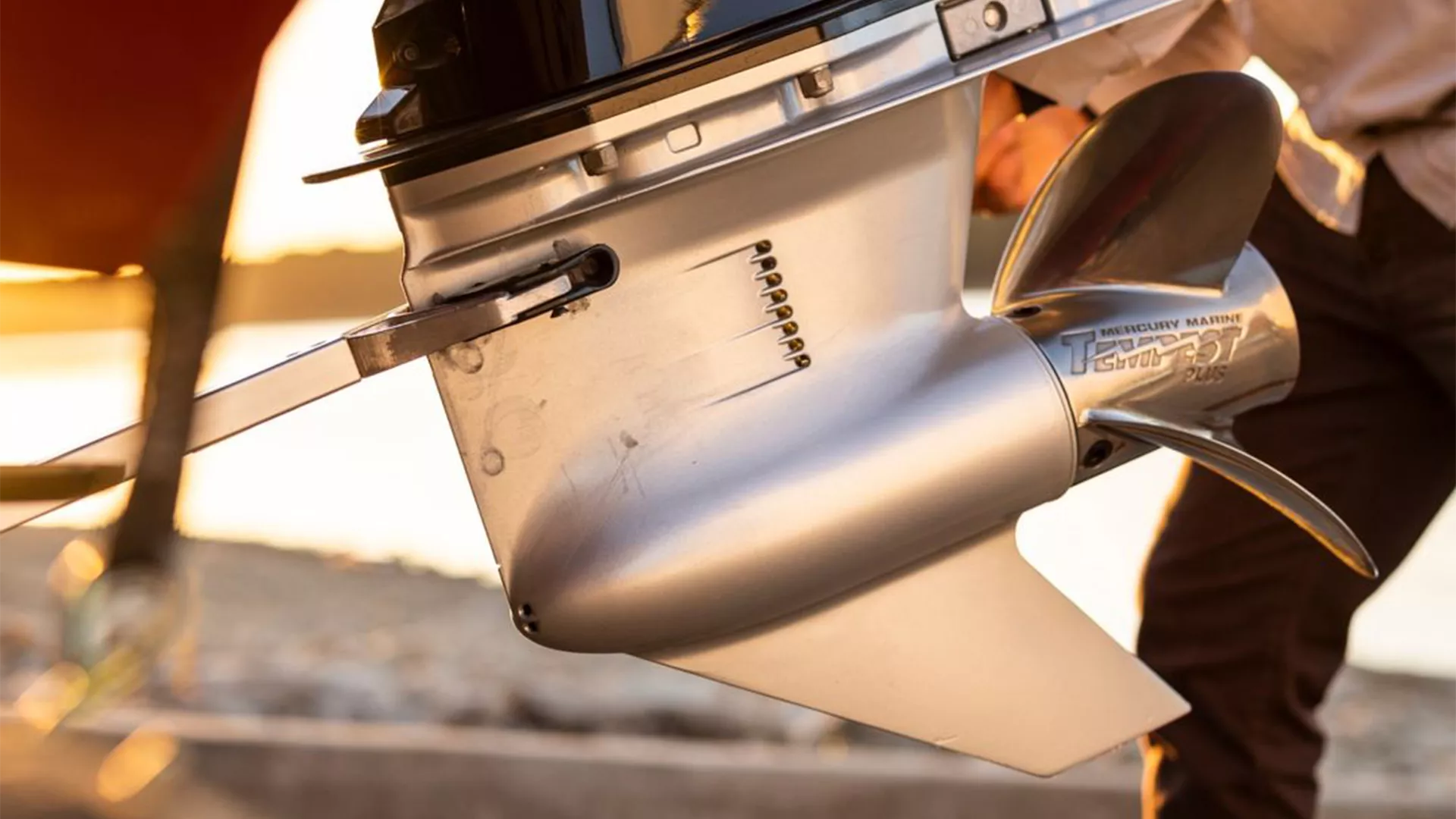 Descripción de la imagen